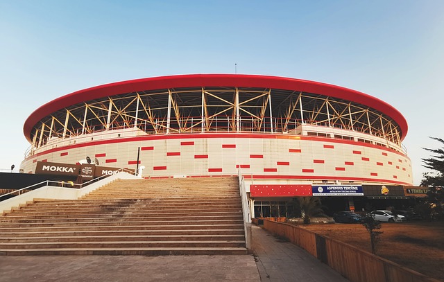 整个联盟的 整个联盟的