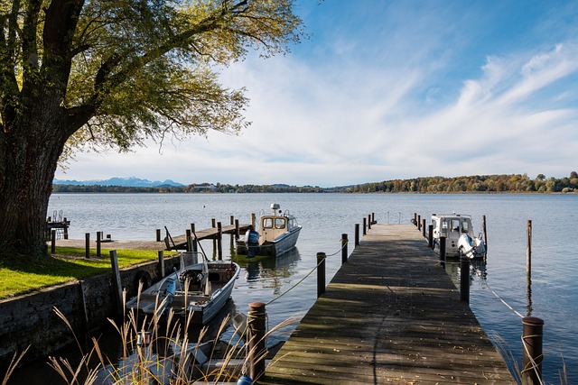 纵观历史 纵观历史