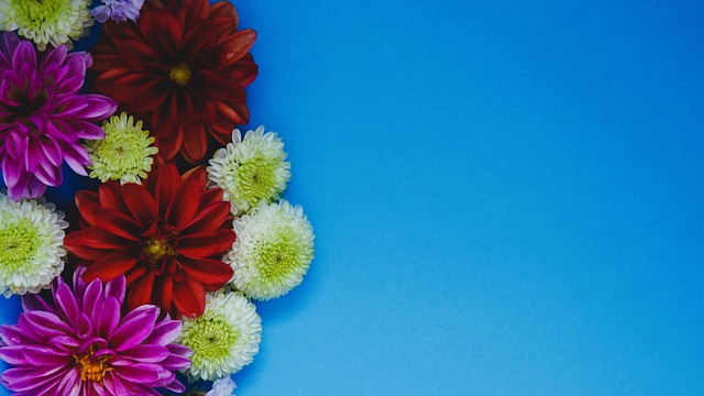 制定往往意 制定往往意