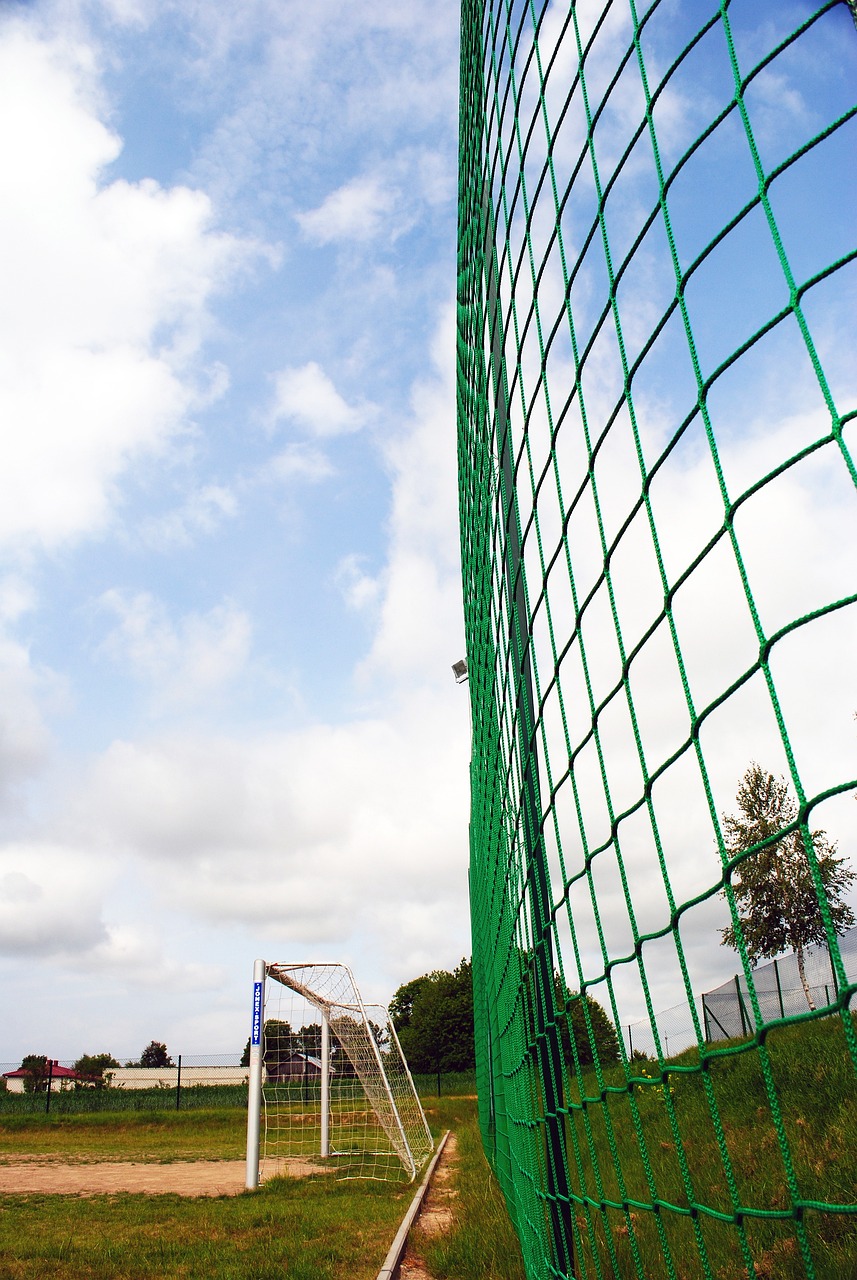 不仅让他们 不仅让他们