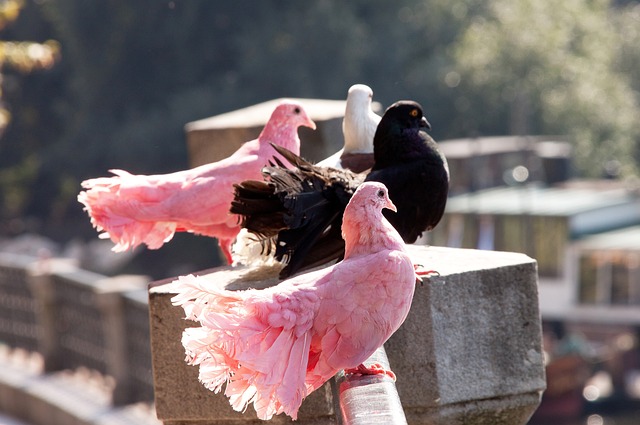跑動距離在 跑動距離在