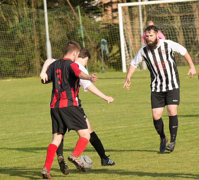 費爾南德斯 費爾南德斯