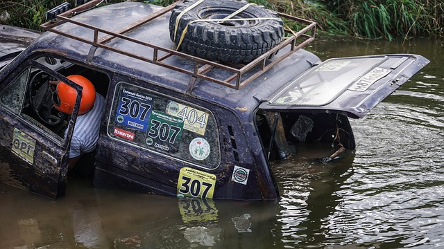 从一个年轻 从一个年轻