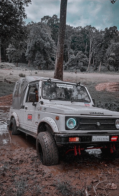 了一個良好 了一個良好