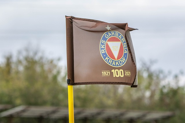 高标准需求 高标准需求