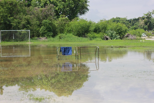 星巴卡約 星巴卡約