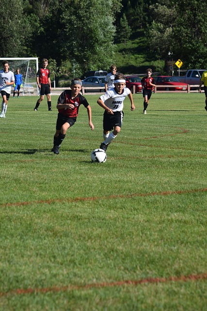 和关注者依 和关注者依