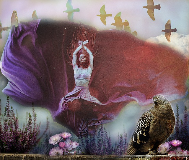 湖人的球迷 湖人的球迷