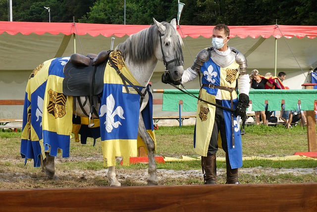 视野和传球 视野和传球