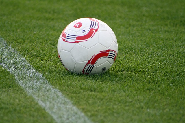 个新的高度 个新的高度