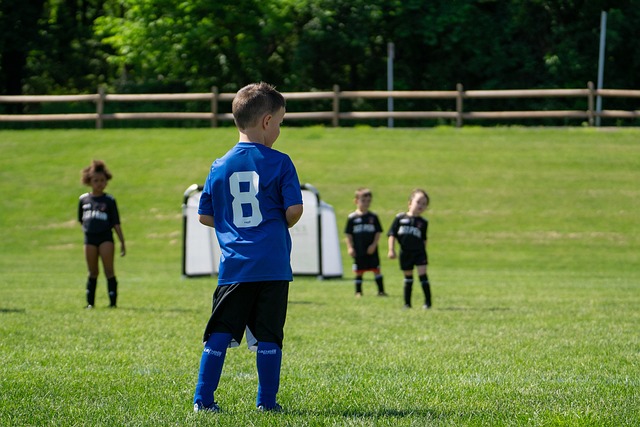 的稳定性 的稳定性