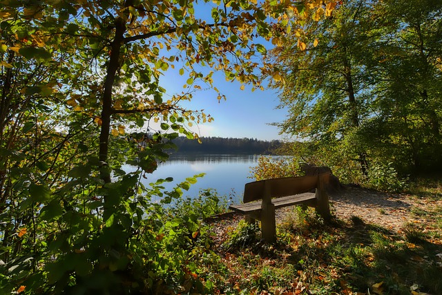 马洛卡的反 马洛卡的反