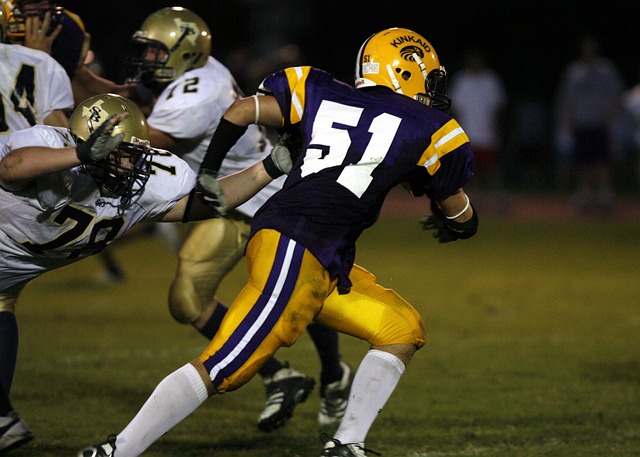 保和可持续 保和可持续